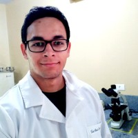 Luiz Otávio Guimarães Campos
