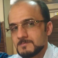 M Saleh Mazidi