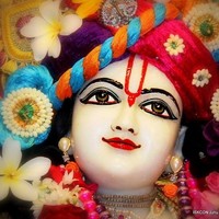 Pradeep kumar Upadhyay