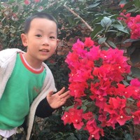 陈辉惜