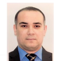 Alaa Elsayed Elmetwaly