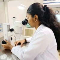 Riya Martis
