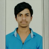 N. B. Bala Krishnan