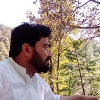 Fawad Jadoon
