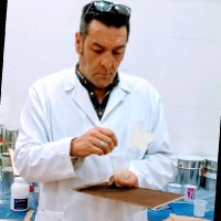 Fran Toboso