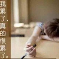 卢文停