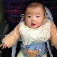 陈金奇