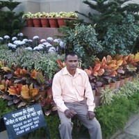 Thanuram Diwan