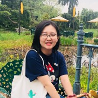 Xuedi Dong, Cpa
