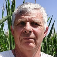 Denis Masson