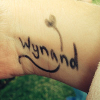 Wynand De Beer
