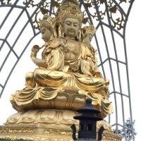 黄国欣