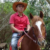 Pham Huy Truong