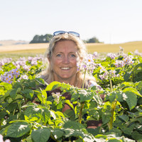 Hanne Hogness