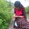 Aishwarya Gajjala
