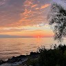 Dawn Wesolowski