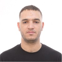 Walid Hanane