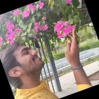 Pratham Bansal
