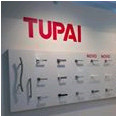 Tupai no Brasil