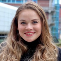 Dominique de Vries