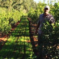 Tulio Marcio Roñiski