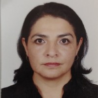 Mónica Judith Pedraza Ortiz