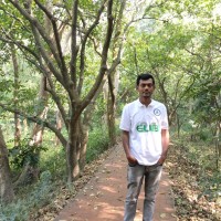 Md Shadit Hasan