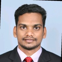 Vishnu P K