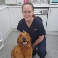 Caitlin Kerrigan Bvsc Mrcvs
