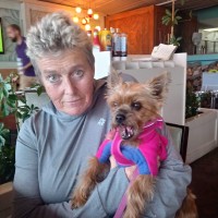 Ann Corkett