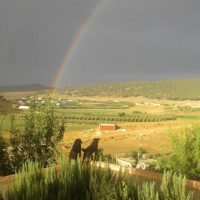 Mouhssine Tadlaoui-Cherki
