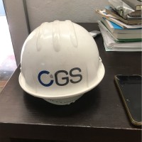 ISABEL IBARRA ARELLANOS