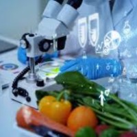 Insightful Solutions Hub