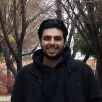 Mohammad Taha Naderzadeh
