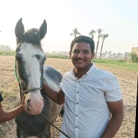 احمد بدرى