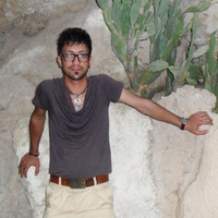 hossein safaie