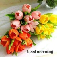 Ash Chavan