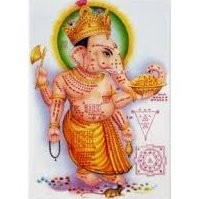 viji raj
