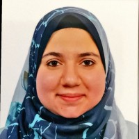 Alaa Mohammad Abdelhamid