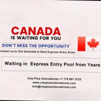 Visaplus International