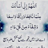 Syed Ali Zia Kazi