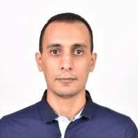 Walid Hamidi