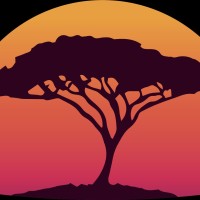 African Sunsets Travel