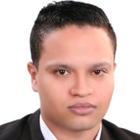Hossam Elsayed