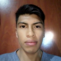 William Alexander Ramirez Gallardo