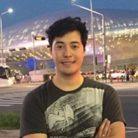 Leandro V Choi