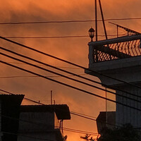 陈玉玉