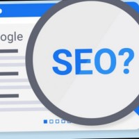 Rimsha Seo Specialist