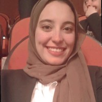 alaa Khalifa