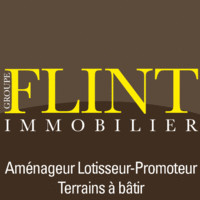 Didier Flint